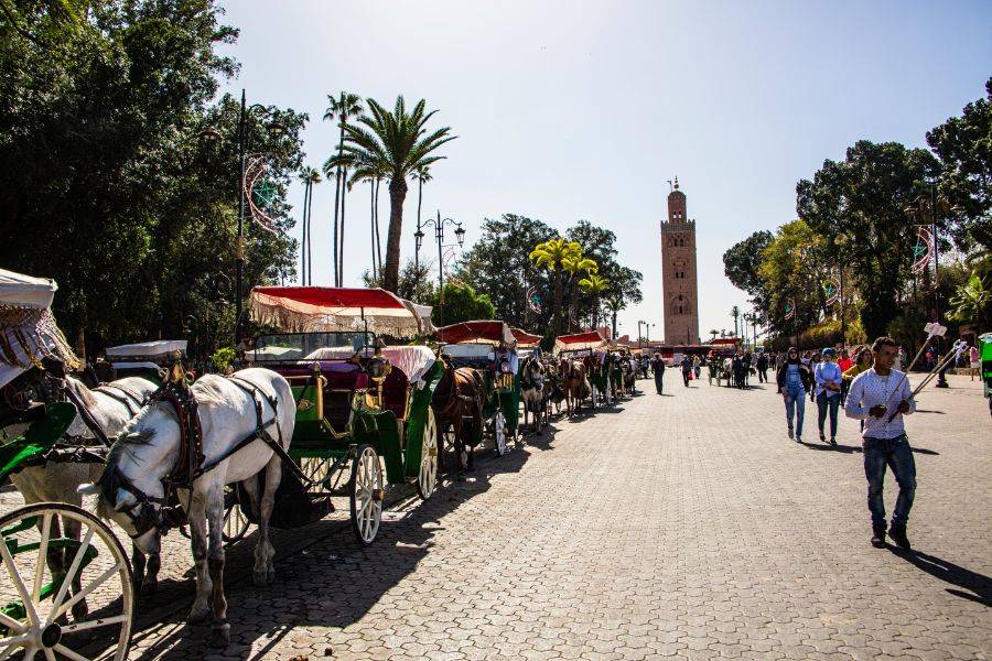 Beautiful Horse Ride Carriage In Marrakech Click Excursions