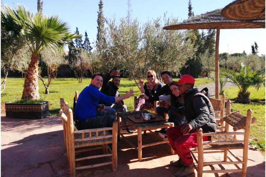 Majorelle Garden With Camel Ride in the Palms From ...